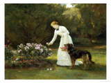 In the Rose Garden