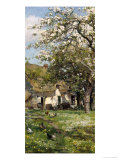Spring in the Orchard