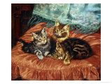 Cosy Family