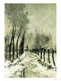 Snowy Vista
