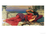Noonday Rest