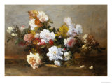 Still Life of Roses