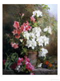 Still Life of Azaleas