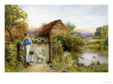 Bringing Home the Sheep