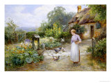 Feeding the Doves
