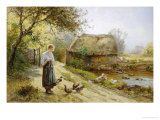 Bright Day by the River  Feeding the Ducks