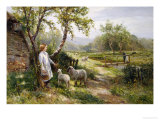 Spring Lambs