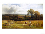 Golden Harvest
