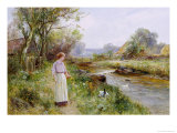 Feeding the Ducks