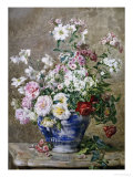 Still Life of Anemones and Roses in a Blue and White Vase