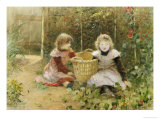 Among the Nasturtiums