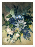 Study of Convulvulus  Passion Flower and Rose  c1840
