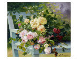 Romantic Roses