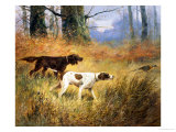 Pointers in a Landscape