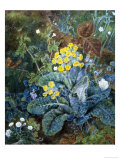 Still Life of Polyanthus and Butterfly