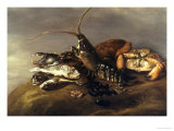 Still Life with Lobster  Crabs  Mussels and Fish