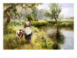 Feeding the Calves