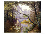 The Milieu Bridge in the Forest