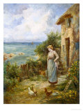 Feeding the Chickens