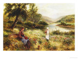 Gathering Poppies
