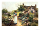 Cottage Garden