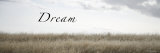 Dream Meadow