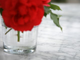 Fresh Cut Roses
