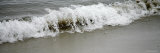 Shore Break II