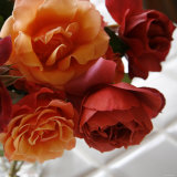 Rose Bouquet III