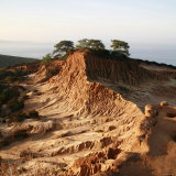Canyon Walkway