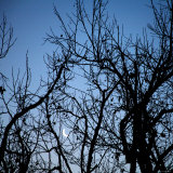 Moon Rise