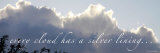 Every Cloud