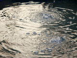 Water Drops I