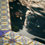 Mediterranean Damask III