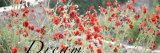 Dream Flowers I
