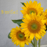 Smile: Sunflower Bouquet