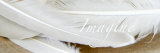 Imagine: White Feathers