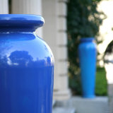 Blue Elegance