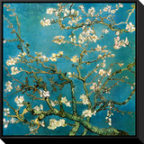 Almond Branches in Bloom  San Remy  c1890