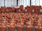 123 Pots