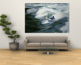 Whitewater Kayaker Surfing Standing Wave  Lochsa River  Idaho