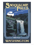 Snoqualmie Falls by Night  Washington