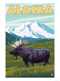 Denali National Park Moose and Mount McKinley