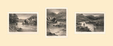The Elusive Salmon Triptych