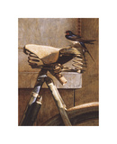 Swallow On Bicycle