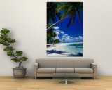 Palm Tree on Beach  French Polynesia