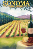 Sonoma County  California Wine Country