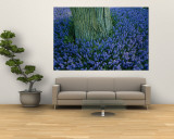 The Base of a Tree Trunk is Surrounded by Lavender Muscari Inside the Keukenhof Flower Park