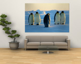 Emperor Penguins on the Frozen Southern Ocean