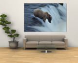 A Young Grizzly Bear (Ursus Arctos Horribilis) Wades Down a Waterfall